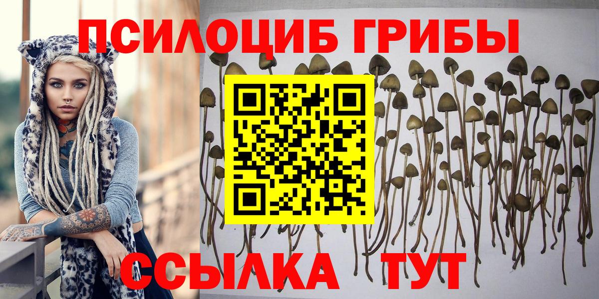 Галлюциногенные грибы GOLDEN TEACHER Камышлов