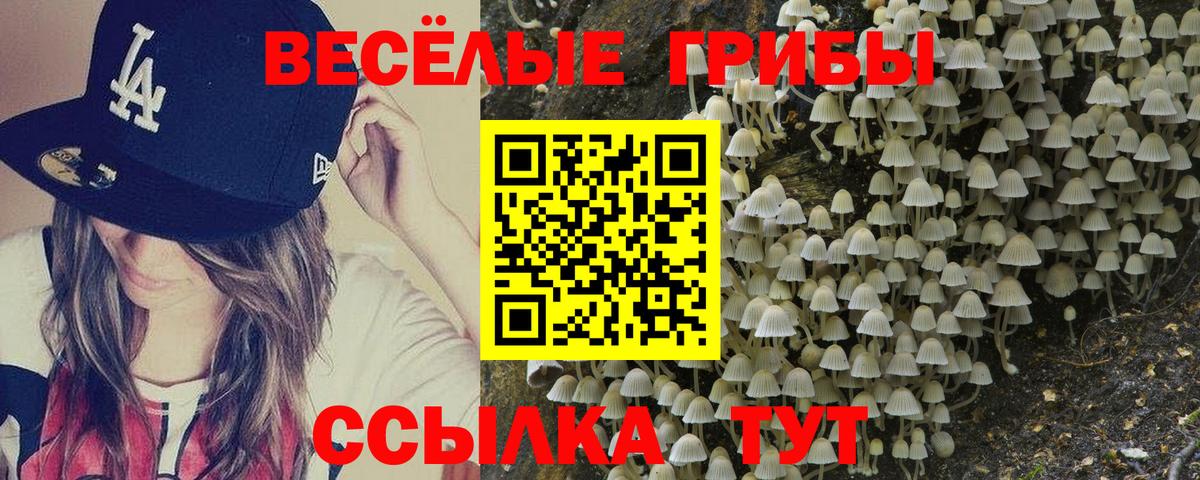 Камышлов  Галлюциногенные грибы прущие грибы  Вход с VPN  Псилоцибиновые грибы мицелий 